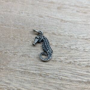 Silver Seahorse Pendant
